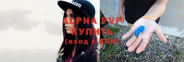 гашик Волосово