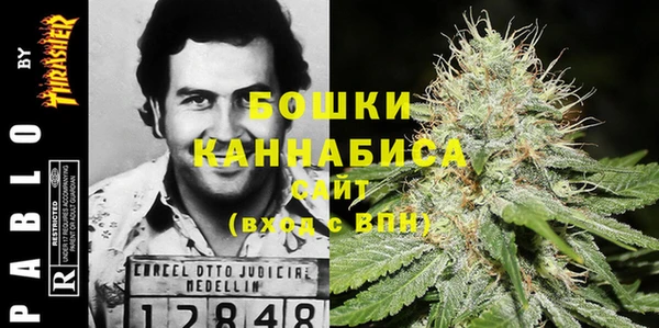 гашик Волосово