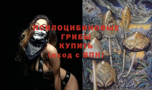 гашик Волосово