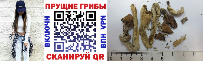 Галлюциногенные грибы прущие грибы  закладка  Елец 